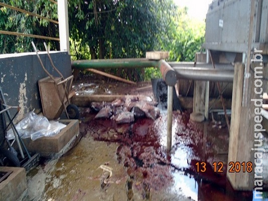 Frigorífico é multado em R$ 50 mil por poluição de córrego Frigorífico é multado em R$ 50 mil por poluição de córrego