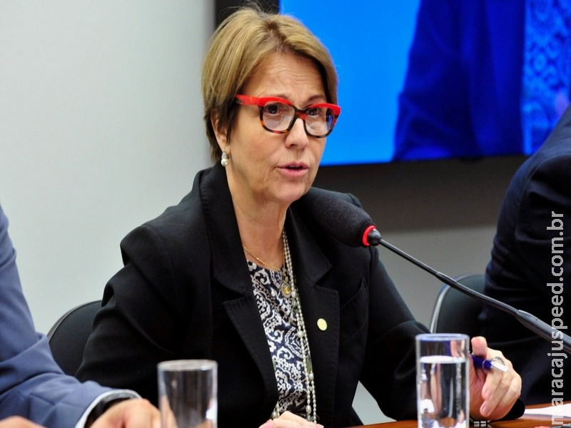 Futura Ministra da Agricultura estuda bônus para ruralista cumprir lei de preservação ambiental Futura Ministra da Agricultura estuda bônus para ruralista cumprir lei de preservação ambiental