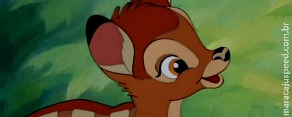 Homem é sentenciado a assistir Bambi por caça ilegal Homem é sentenciado a assistir Bambi por caça ilegal