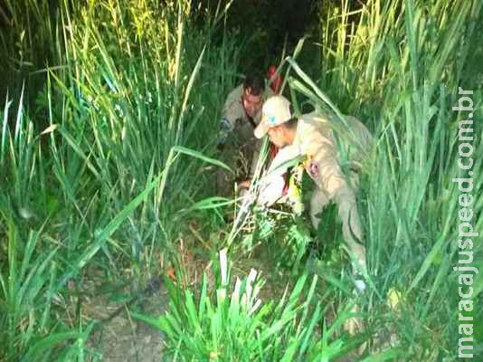 Homem rodeado por jacarés é resgatado de riacho em MS Homem rodeado por jacarés é resgatado de riacho em MS