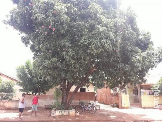 Homem tem crise epilética, cai de altura de quatro metros e morre