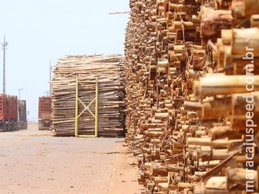 Lei obriga produtores de madeira a repassarem 22 milhões ao Fundersul Lei obriga produtores de madeira a repassarem 22 milhões ao Fundersul