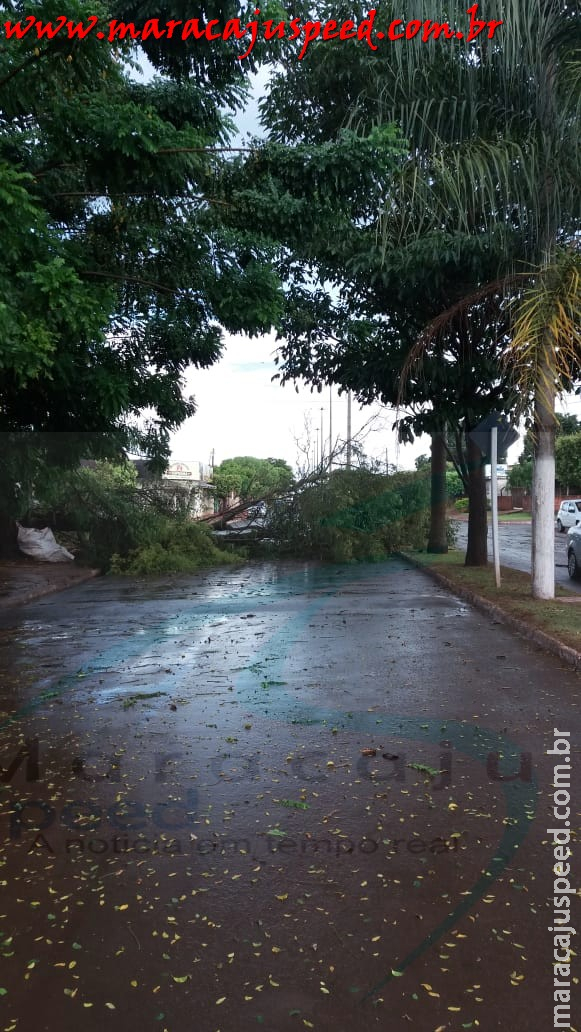 Maracaju: Tempestade no domingo causa estragos na cidade
