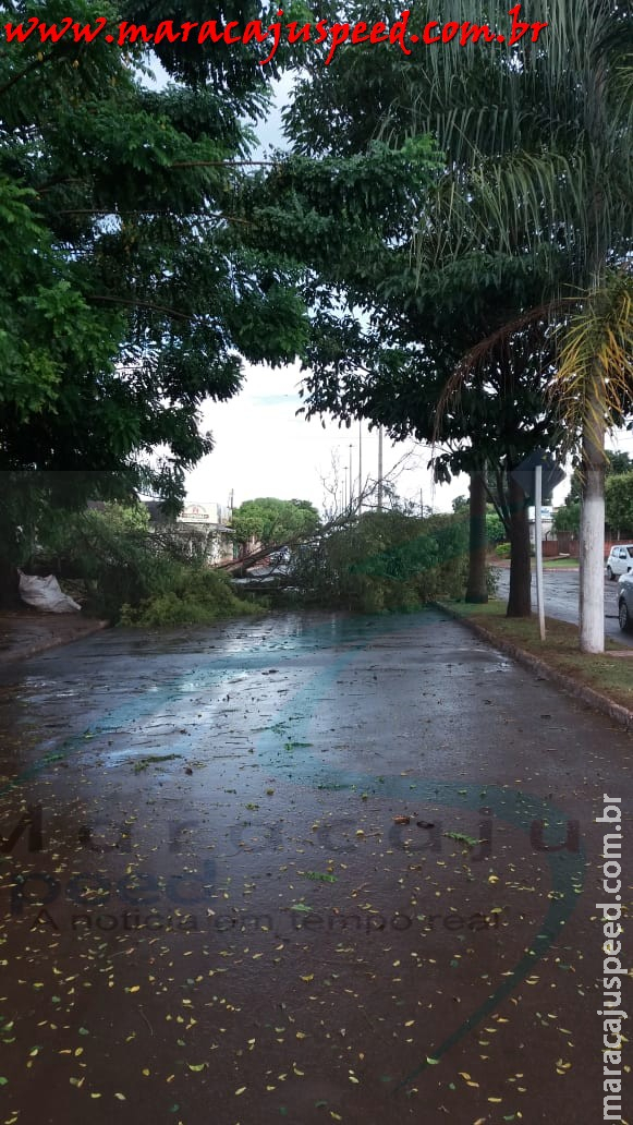 Maracaju: Tempestade no domingo causa estragos na cidade Maracaju: Tempestade no domingo causa estragos na cidade