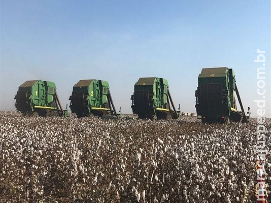 PIB da agropecuária cresce 0,7% no 3º trimestre PIB da agropecuária cresce 0,7% no 3º trimestre