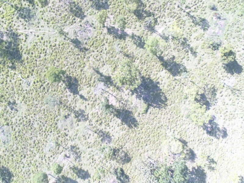 PMA autua pecuarista em R$ 13,8 mil por desmatamento ilegal de 46 hectares de vegetação descoberta por imagem de satélite