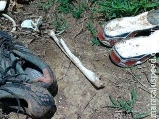 Polícia encontra ossada e munição em fazenda e investiga homicídio