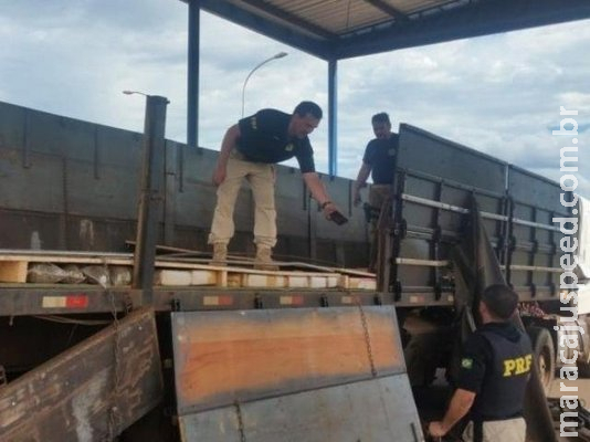 PRF encontra 1,5 tonelada de maconha e skunk em fundo falso de carreta