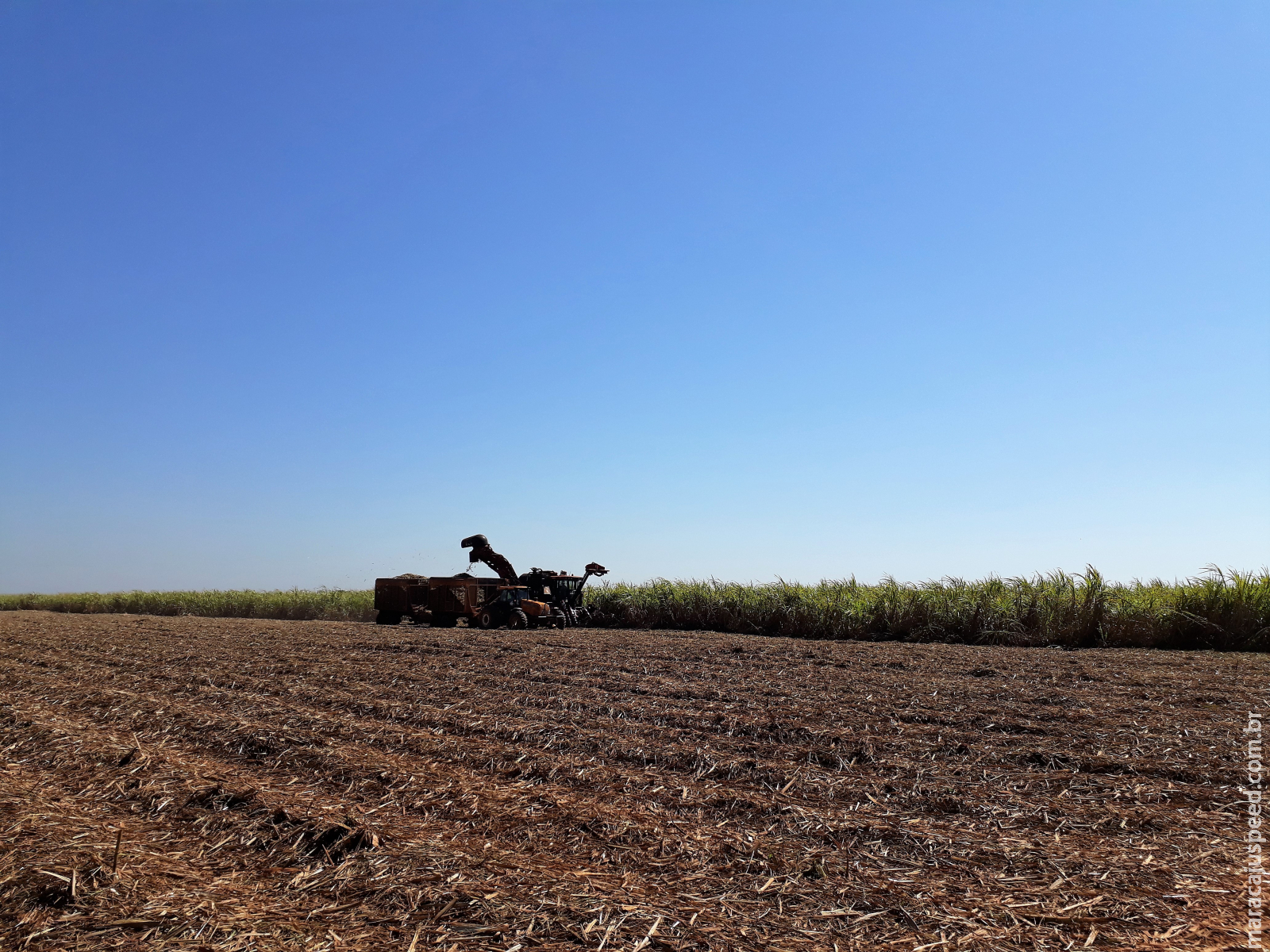 Produção de cana em MS atinge 45 milhões de toneladas e etanol supera 3 bilhões de litros Produção de cana em MS atinge 45 milhões de toneladas e etanol supera 3 bilhões de litros