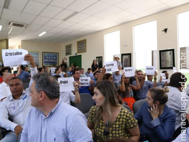 Rio da Prata está "perdendo os rins" e, se nada for feito, tem 10 anos de vida Rio da Prata está "perdendo os rins" e, se nada for feito, tem 10 anos de vida