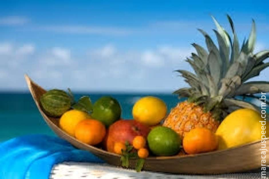 Alimentos importantes para essa época do ano, o verão Alimentos importantes para essa época do ano, o verão