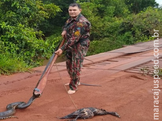 Ambiental captura sucuri de três metros em lago de parque urbano