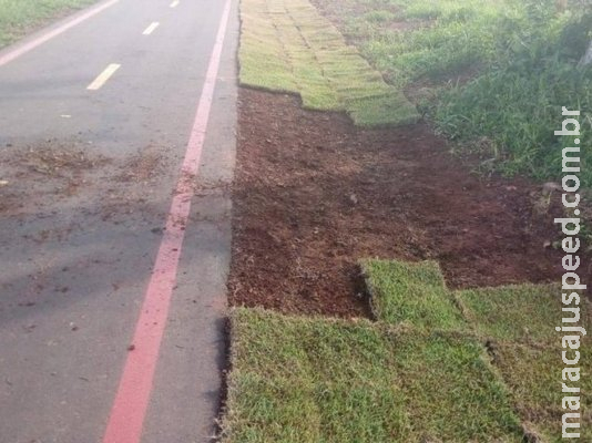Após furto de grama, prefeito diz que pagará R$ 1 mil para quem denunciar Após furto de grama, prefeito diz que pagará R$ 1 mil para quem denunciar