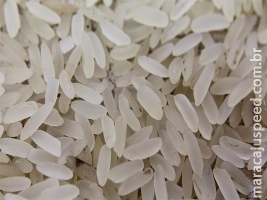 Arroz brasileiro apresenta forte alta nas exportações Arroz brasileiro apresenta forte alta nas exportações