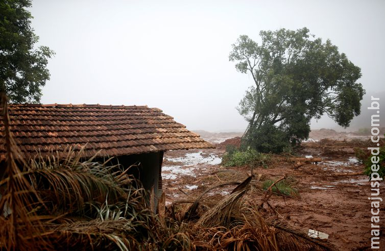 Beneficiários do Bolsa Família em Brumadinho poderão antecipar saques Beneficiários do Bolsa Família em Brumadinho poderão antecipar saques