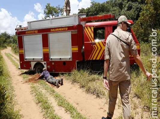 Bombeiros atendem denúncia sobre corpo, encontram cachorro morto e viatura atola