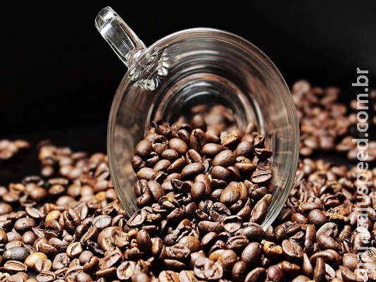 Café: pesquisa mostra que safra 2018 foi de melhor qualidade Café: pesquisa mostra que safra 2018 foi de melhor qualidade