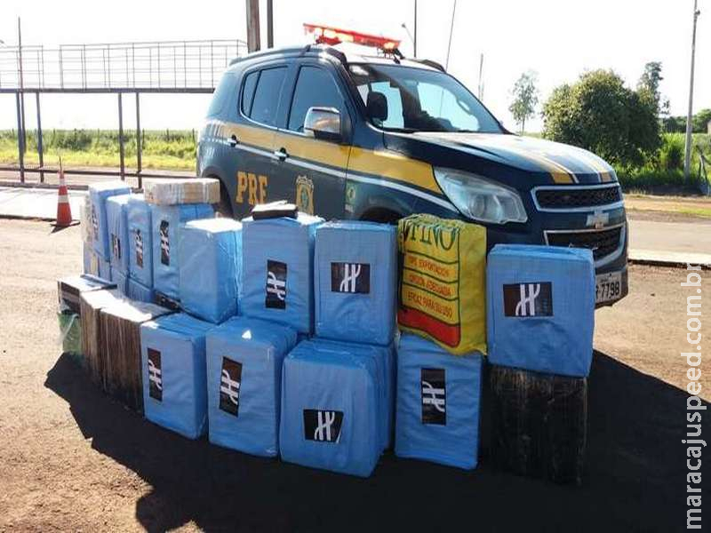 Carga de cocaína apreendida na BR-463 poderia render até R$ 47 milhões no Brasil Carga de cocaína apreendida na BR-463 poderia render até R$ 47 milhões no Brasil