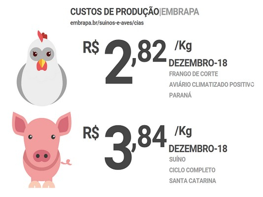 Cenário preocupante para criadores de frango Cenário preocupante para criadores de frango