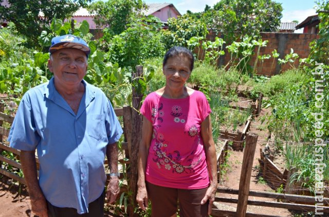 Com horta no quintal, casal planta tudo e compartilha o que colhe com vizinhos