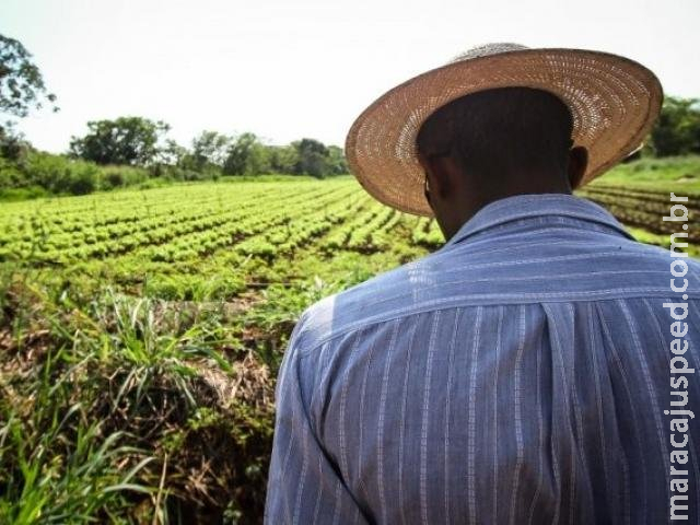 Da produtividade ao abandono vivem 22 comunidades quilombolas de MS