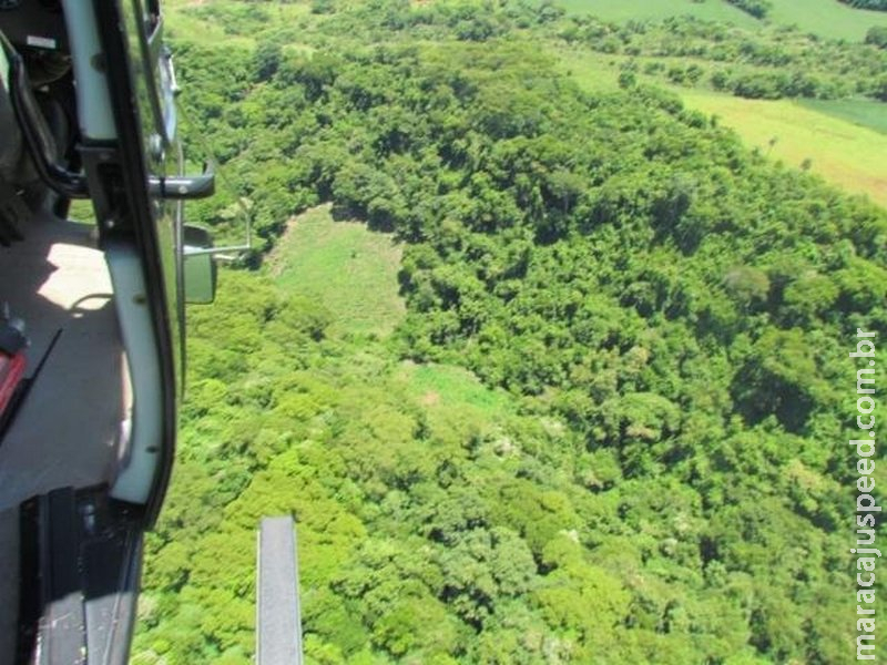 De helicóptero, policiais descobrem plantação de maconha na fronteira