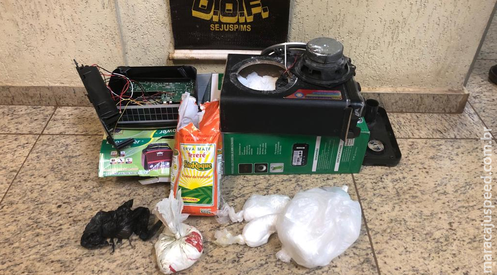 DOF prende casal transportando droga em ônibus DOF prende casal transportando droga em ônibus