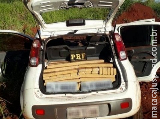 Em fuga, jovem é apreendido desmaiado após bater carro com 500 quilos de droga Em fuga, jovem é apreendido desmaiado após bater carro com 500 quilos de droga