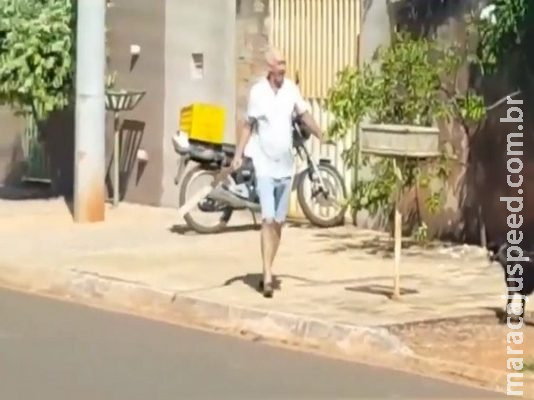 Idoso flagrado dando pauladas em cadela é detido e liberado pela polícia