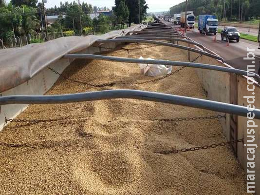 Maconha apreendida em carga de soja ultrapassou 1t