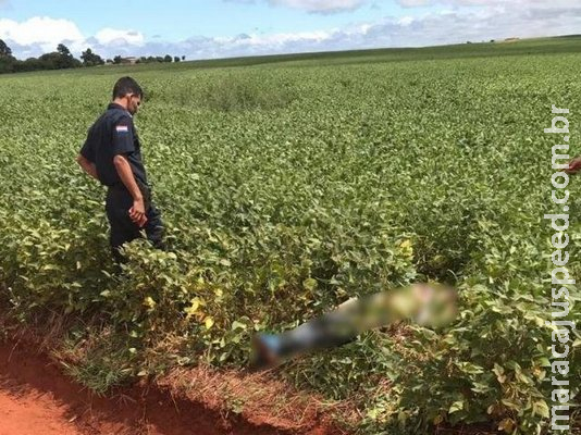 Matança continua: corpo é encontrado crivado de balas em lavoura de soja