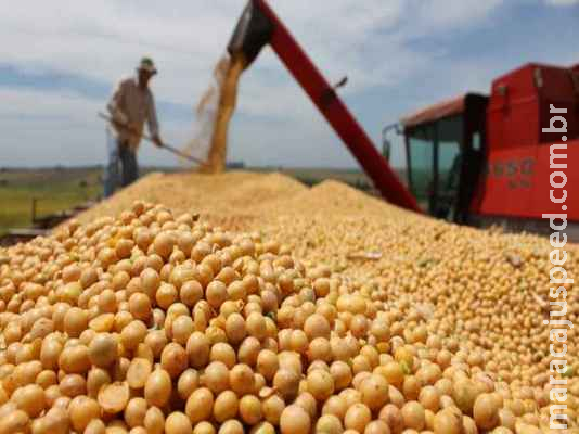 Mesmo sem chuva, produção de soja aumenta em MS e área plantada cresce 30% Mesmo sem chuva, produção de soja aumenta em MS e área plantada cresce 30%