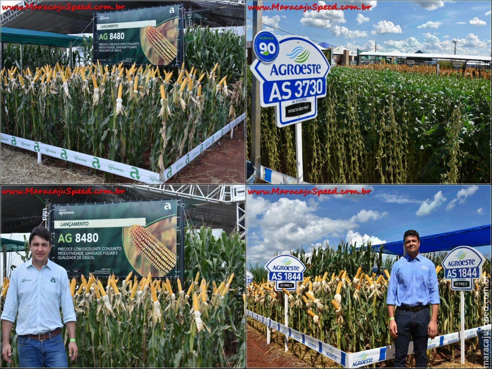 Monitoramento digital desenvolvido pela BAYER é destaque na feira do agronegócio em Maracaju Monitoramento digital desenvolvido pela BAYER é destaque na feira do agronegócio em Maracaju