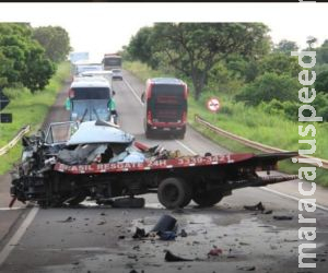 Motorista do Paraná morre em colisão com bitrem na BR-267