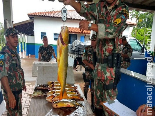 Na próxima temporada de pesca, a multa mínima para quem capturar o dourado será de R$ 2,7 mil
