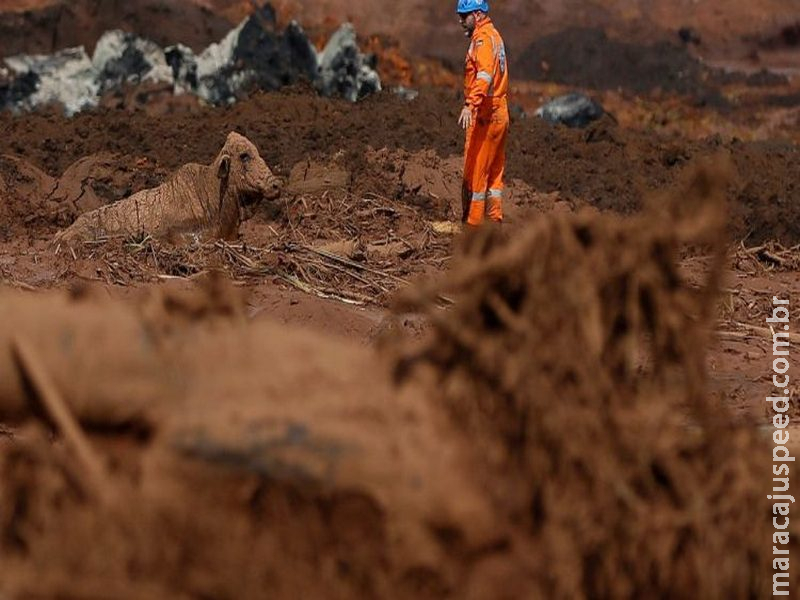 Número de mortos em Brumadinho sobre para 84, e 276 pessoas continuam desaparecidas Número de mortos em Brumadinho sobre para 84, e 276 pessoas continuam desaparecidas