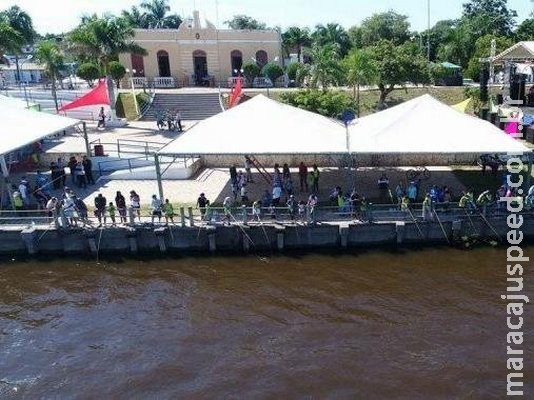 ONGs defendem restrições de pesca, mas dizem que é preciso cuidar dos rios ONGs defendem restrições de pesca, mas dizem que é preciso cuidar dos rios