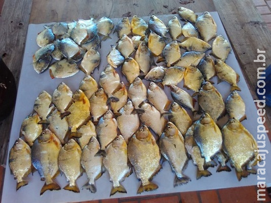 Pescador paulista é preso em MS e polícia apreende barco, motor, pescado e veículo Pescador paulista é preso em MS e polícia apreende barco, motor, pescado e veículo