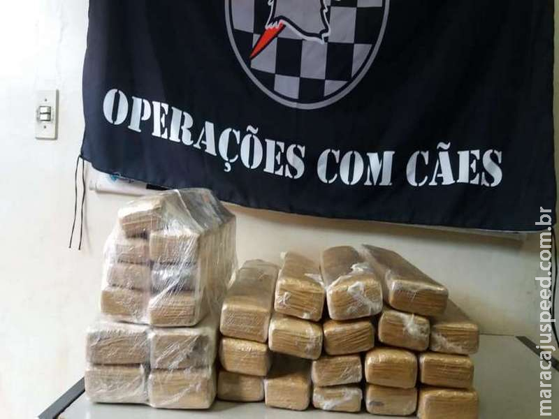 PM prende mineiro com 28 tabletes de maconha em ônibus