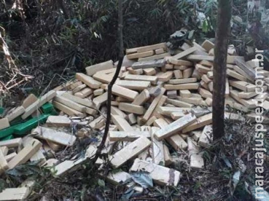 Polícia apreende meia tonelada de maconha escondida em matagal