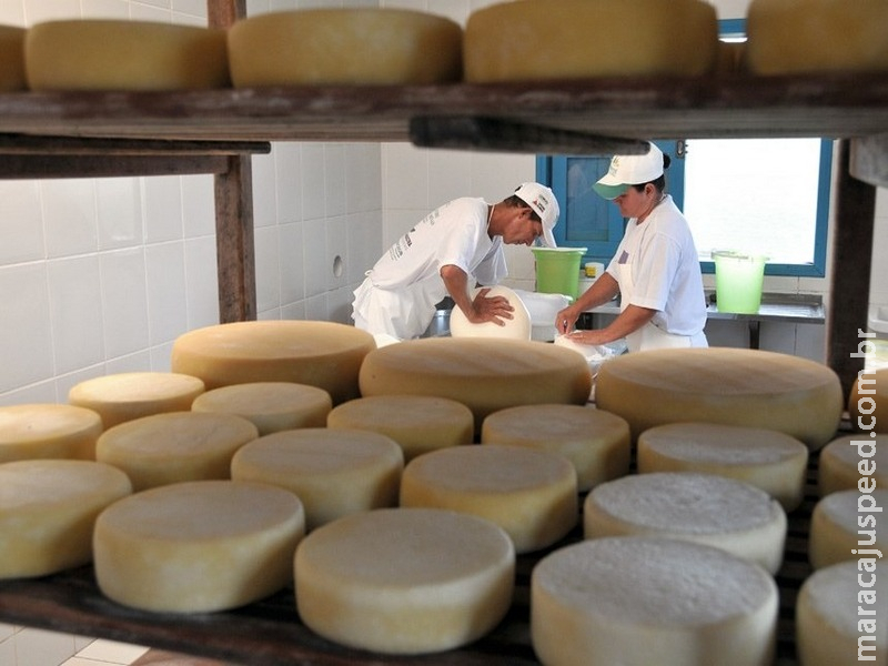 Produção e venda do queijo artesanal em análise na Comissão de Agricultura