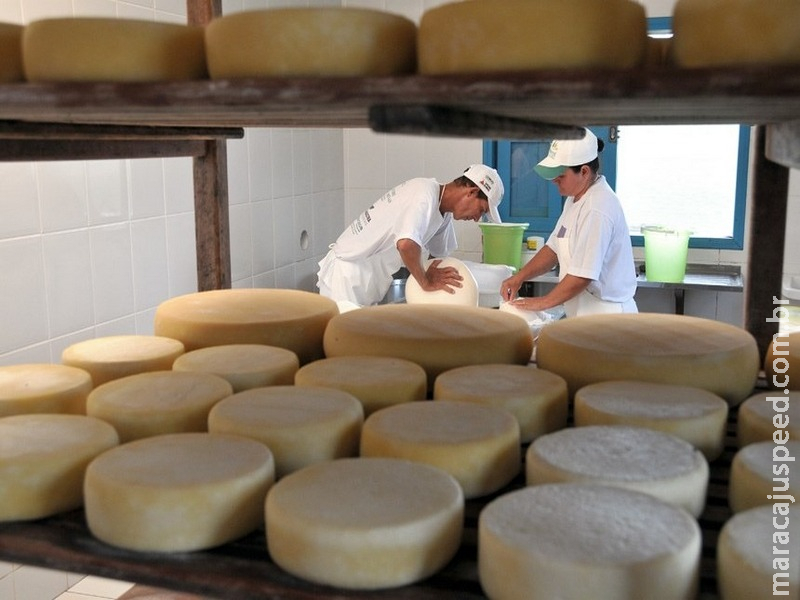 Produção e venda do queijo artesanal em análise na Comissão de Agricultura Produção e venda do queijo artesanal em análise na Comissão de Agricultura