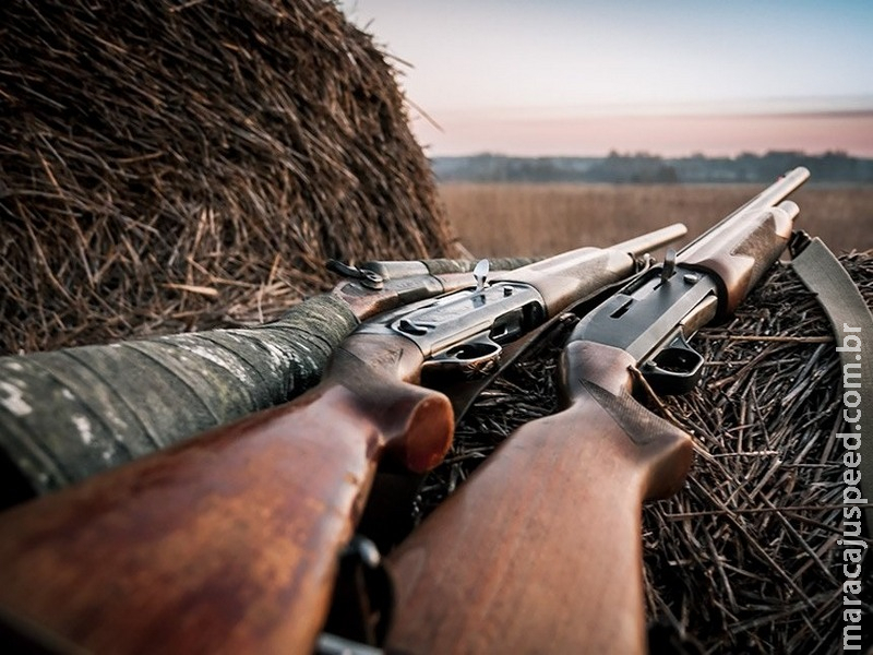 Propostas de senadores alteram legislação sobre armas de fogo