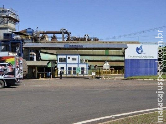 Usina é investigada por contaminar rio e causar morte de peixes Usina é investigada por contaminar rio e causar morte de peixes