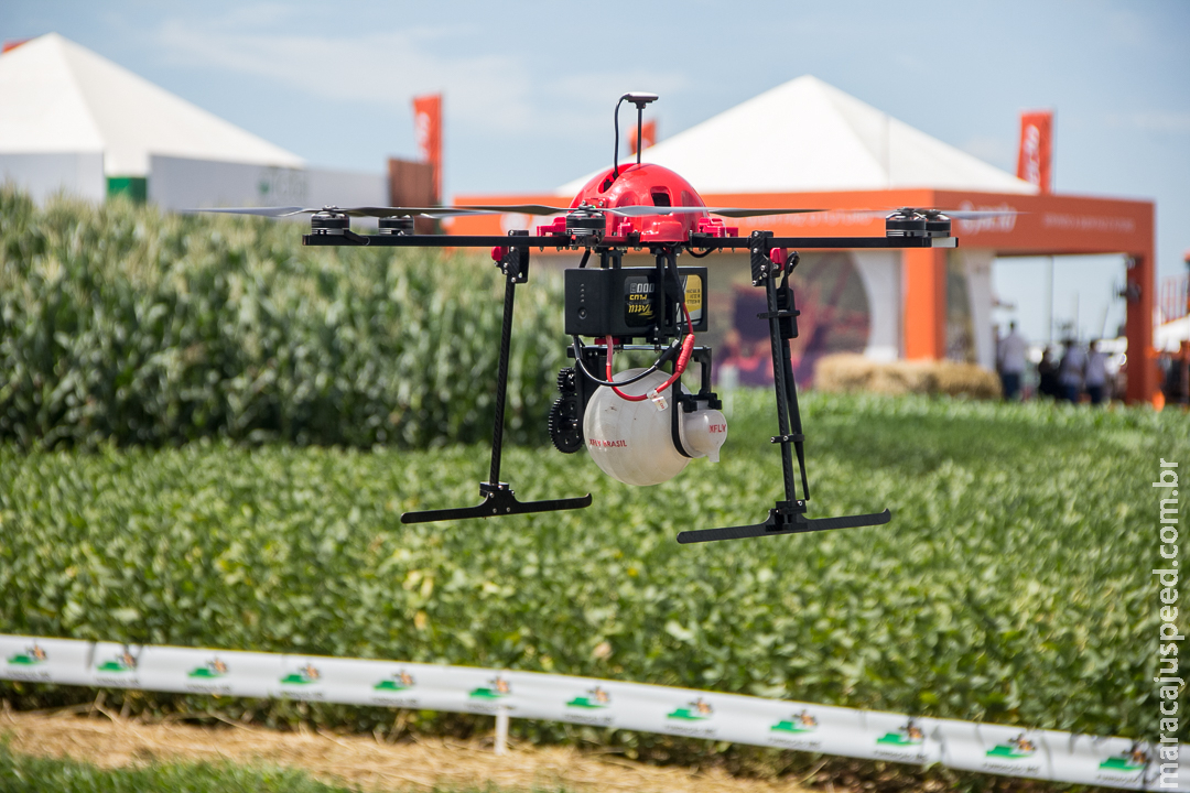 Uso de drones na agricultura aumenta rentabilidade e reduz tempo de trabalho 