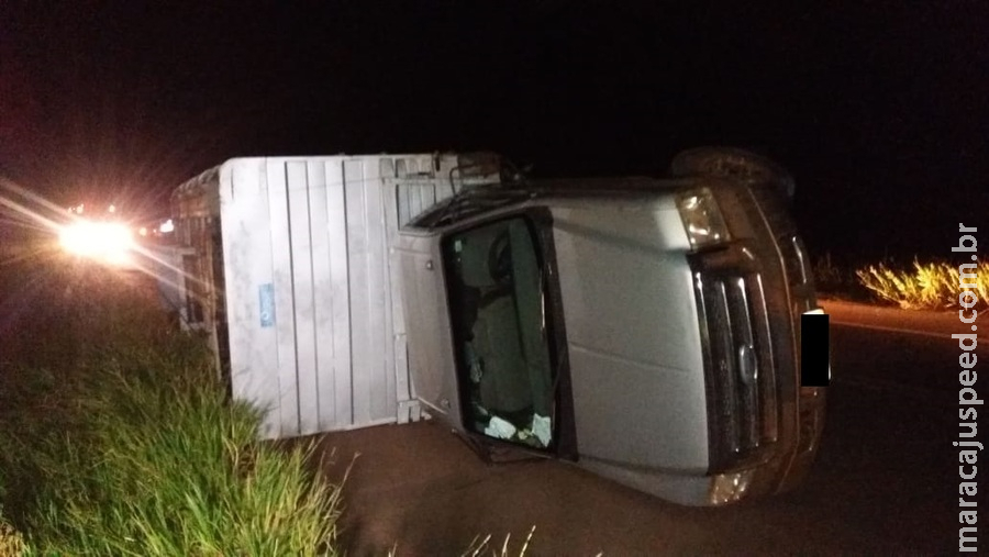 Carregado com bovinos, caminhão tomba e animais ficam soltos em via