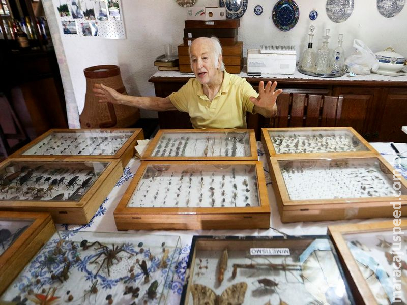 Colecionador brasiliense doa 2 mil insetos ao Museu Nacional do Rio Colecionador brasiliense doa 2 mil insetos ao Museu Nacional do Rio