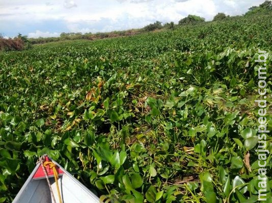 Com suprimentos no fim, passageiros encalhados ficaram à deriva por 48h Com suprimentos no fim, passageiros encalhados ficaram à deriva por 48h