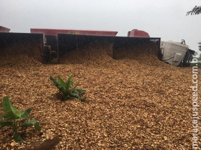 Condutor perde direção e tomba com 35 toneladas de madeira triturada Condutor perde direção e tomba com 35 toneladas de madeira triturada