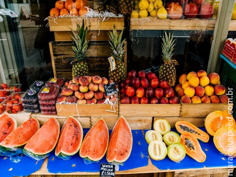 Conferência pede cooperação internacional para evitar contaminação por alimentos no mundo